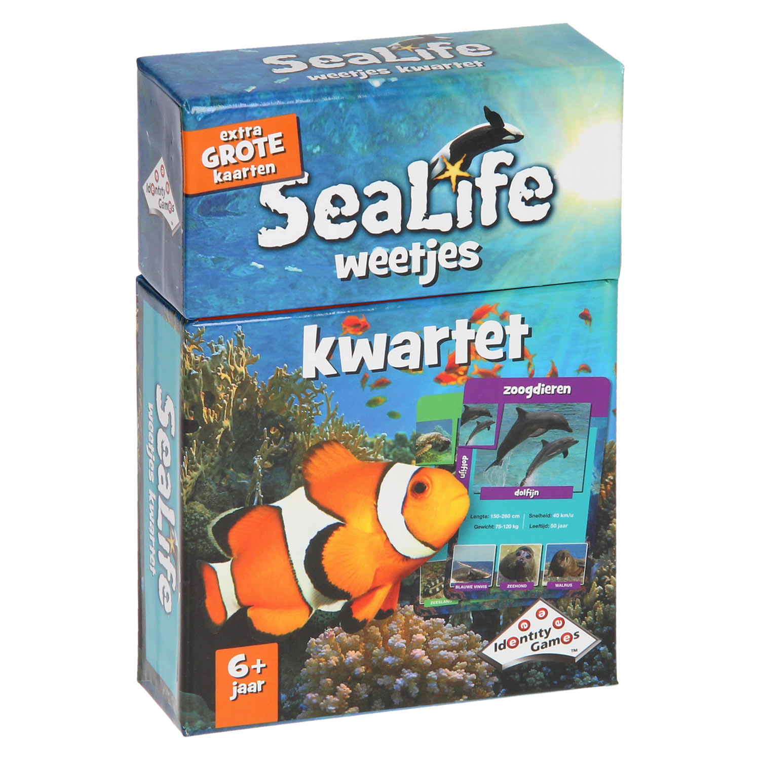 kwartet sealife 1